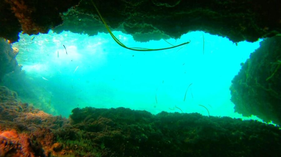 Altea: Guided Kayak Tour - Who should book this tour?