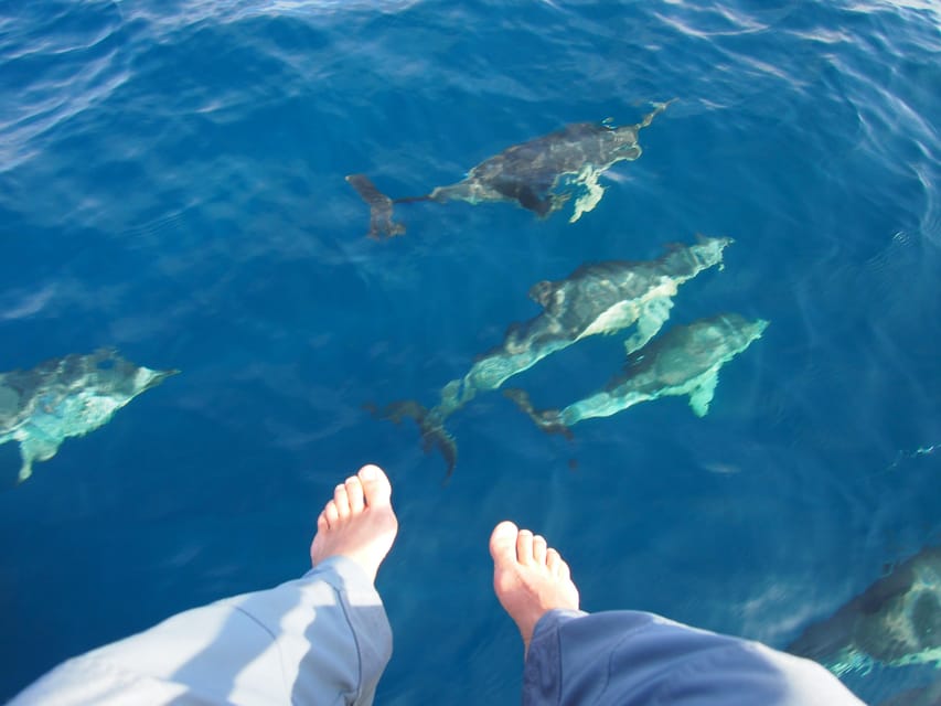 Always private 4 hour - Sail- dolphin Yacht Charter-paddle - Should You Book This Charter?