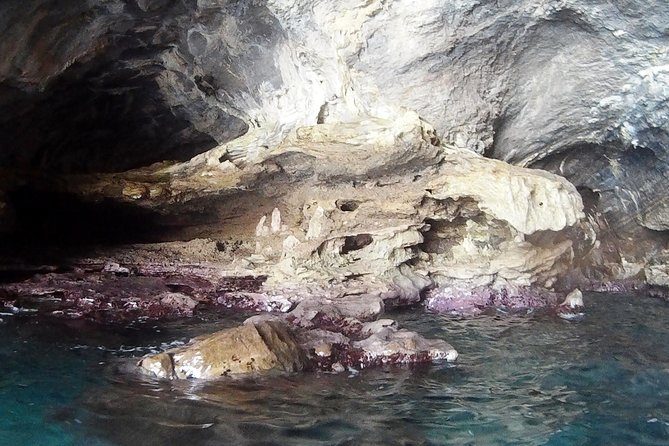 Amalfi Coast Kayak Tours from Marina del Cantone - What the $90.74 price gets you