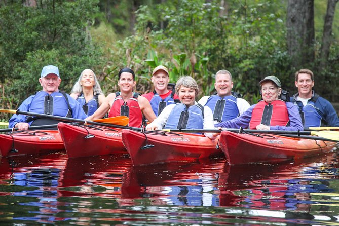 Amelia Island Guided Kayak Tour of Lofton Creek - Wildlife sightings, with sensible expectations