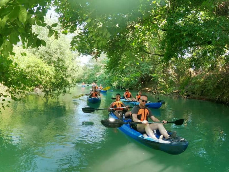 Ammoudia: Kayak down the Acheron 5.5 km - Wildlife along the riverbanks