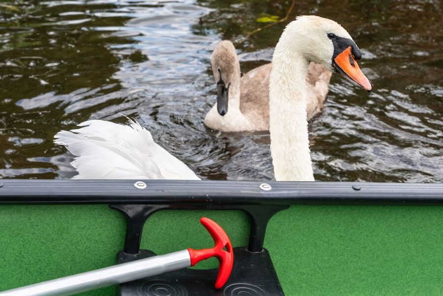 Amsterdam: 2-Hour Guided Canoe Trip - Who should choose this Watergang outing?