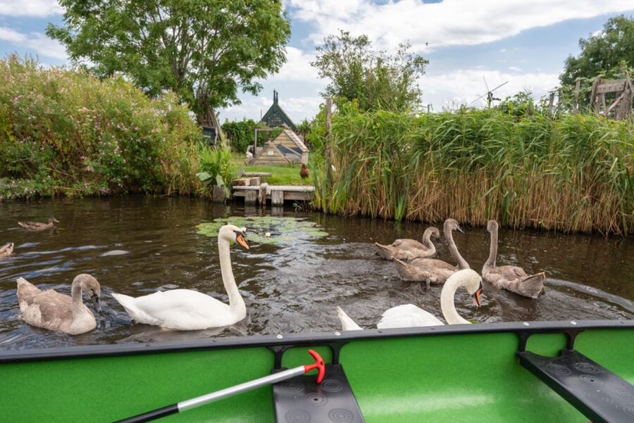 Amsterdam 5-Hour Guided Canoe Trip in the Wetlands - Who Will Enjoy This Canoe Trip Most?