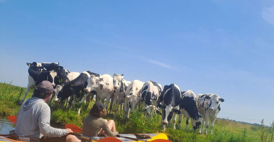 Amsterdam: Countryside Bike and Kayak Guided Tour - From A’DAM Lookout to the North Holland countryside
