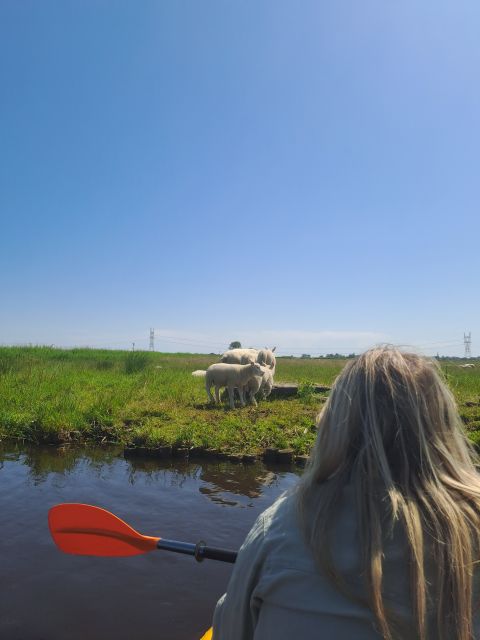 Amsterdam: Countryside Bike and Kayak Guided Tour - One hour by bike to d’Admiraal Windmill
