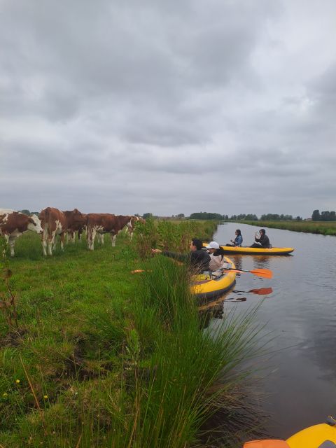 Amsterdam: Countryside Bike and Kayak Guided Tour - A countryside break, with food options along the way