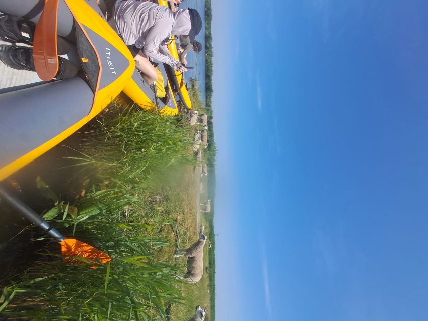 Amsterdam: Countryside Bike and Kayak Guided Tour - The final hour by bike through Amsterdam-Noord