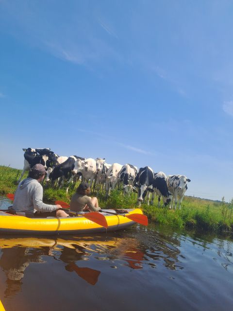 Amsterdam: Countryside Bike and Kayak Guided Tour - What the $84 price really covers