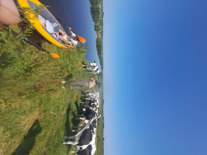 Amsterdam: Countryside Bike and Kayak Guided Tour - Who should book this half-day adventure