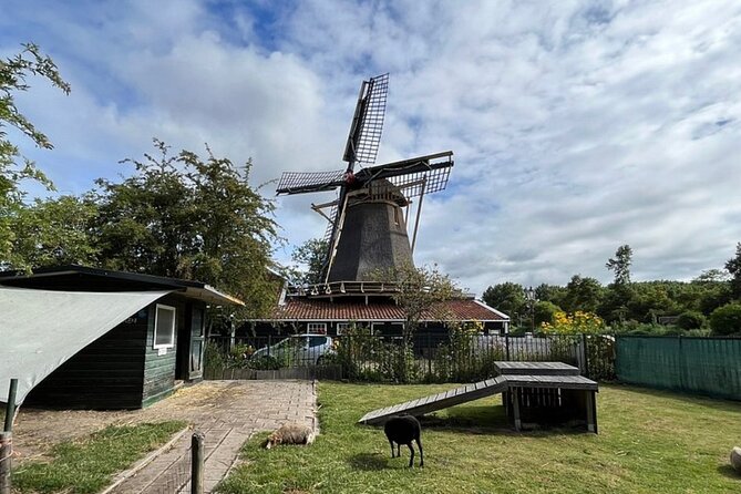 Amsterdam Countryside Bike and Kayak Tour - Why this is a good break from central Amsterdam