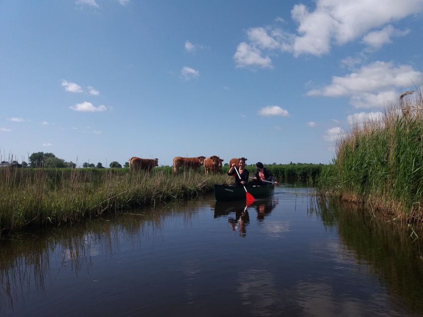 Amsterdam: Dutch Countryside Sunset Canoe Tour - Practical tips before you go