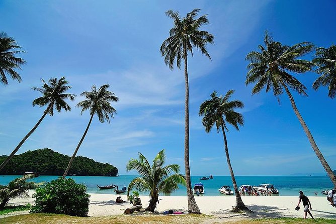 Angthong National Marine Park by Speed Boat with Snorkeling & Kayaking - The pier start and speedboat ride
