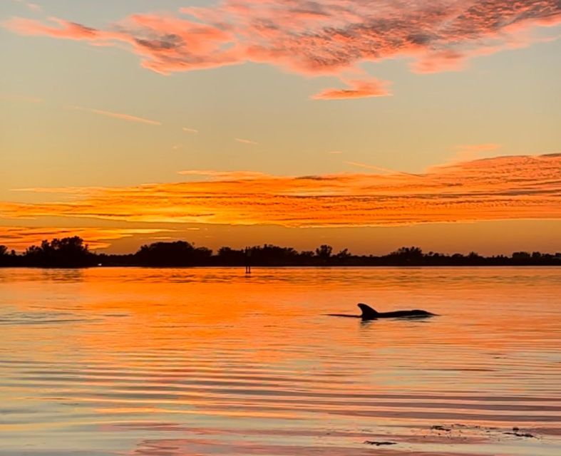 Anna Maria Island and Bradenton: Sunset Kayak Dolphin Tour - Key points at a glance