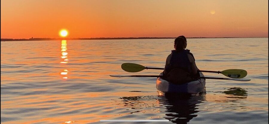 Anna Maria Island and Bradenton: Sunset Kayak Dolphin Tour - Who should book this outing