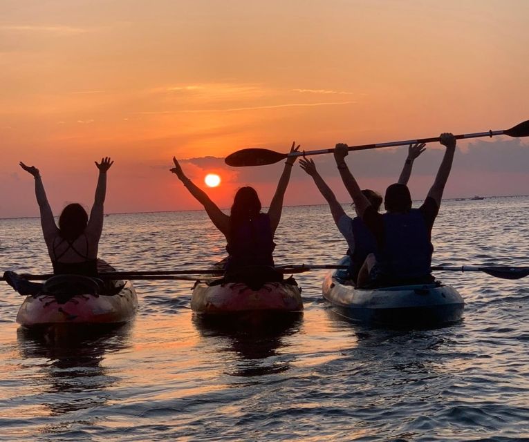 Anna Maria Island and Bradenton: Sunset Kayak Dolphin Tour - Paddling through shallow water and mangroves