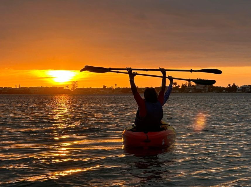 Anna Maria Island and Bradenton: Sunset Kayak Dolphin Tour - Looking for manatees, birds, and smaller wildlife