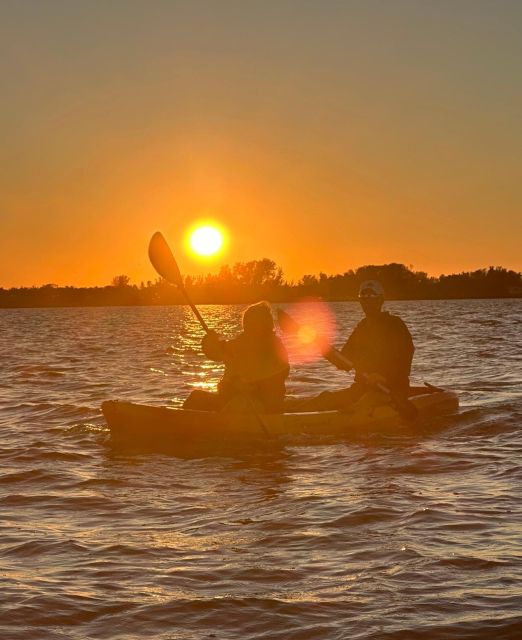 Anna Maria Island and Bradenton: Sunset Kayak Dolphin Tour - What $60 gets you