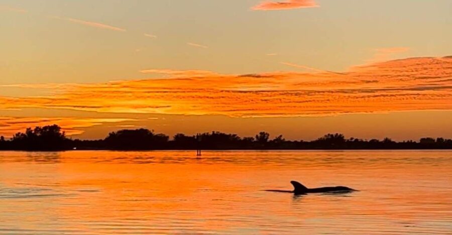 Anna Maria Island and Bradenton: Sunset Kayak Dolphin Tour - Meeting the Florida Blue Adventures crew