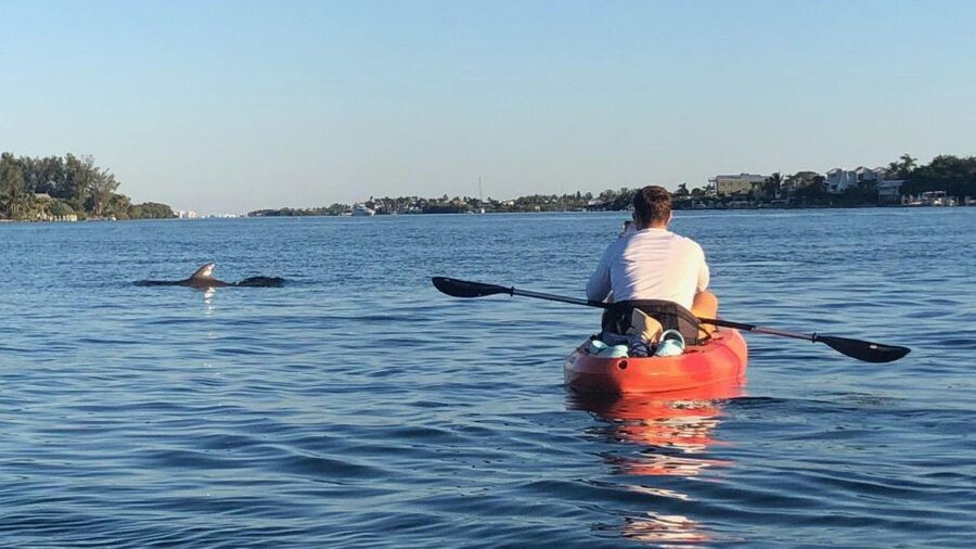Anna Maria Island: The Island Kayak Tour - Reaching the island beach