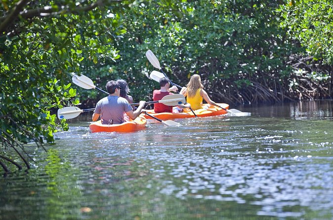 Antigua Zipline & Kayaking Combo From St. John's - From the canopy to the south-west coast