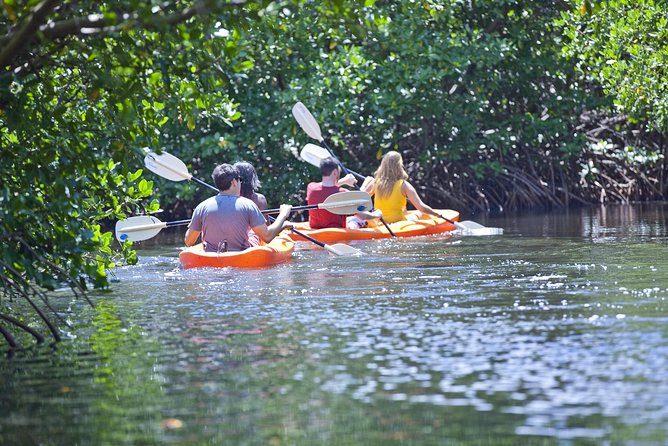 Antigua Zipline & Kayaking Combo From St. John's - Great Bird Island for lunch and snorkeling