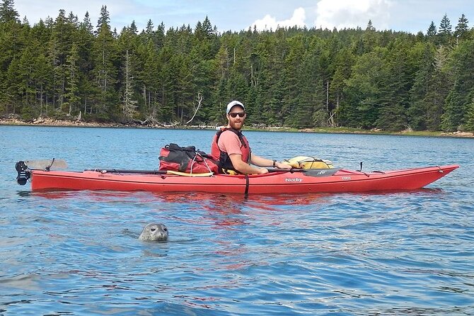 Aqua Safari Kayak tour departing Southwest Harbor - Choosing between Western Bay, Blue Hill Bay, and Somes Sound