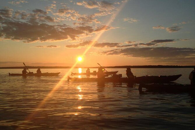 Aqua Safari Kayak tour departing Southwest Harbor - What the $191 price buys you
