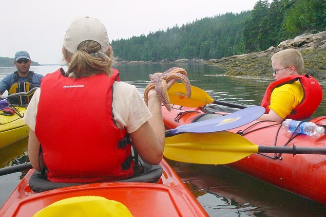 Aqua Safari Kayak tour departing Southwest Harbor - What to bring and how to prepare
