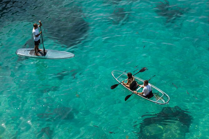 Arrábida: Guided Transparent Kayaking Tour - Why the transparent kayak changes the experience