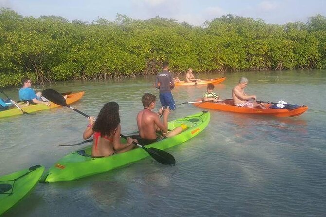 Aruba Glass Bottom Kayak Tour through the Mangrove Forest - Mangel Halto is the real starting point