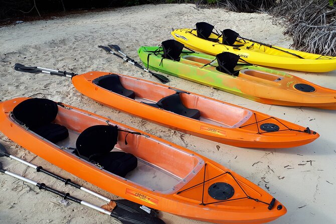 Aruba Glass Bottom Kayak Tour through the Mangrove Forest - Is $70 a fair price?
