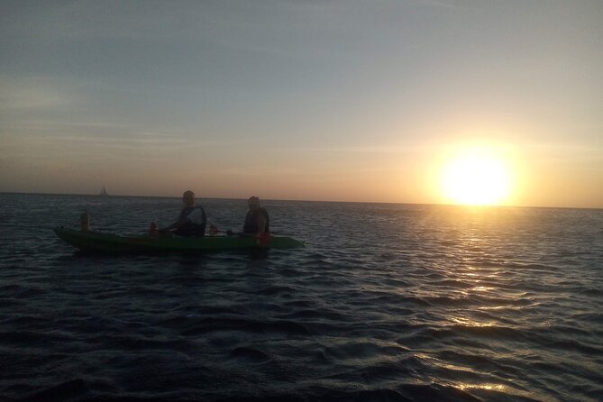 Aruba Night Glass Kayak Tour - Two hours, with a few moving parts