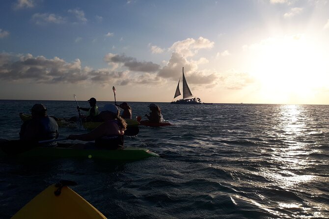 Aruba Night Glass Kayak Tour - Is $80 a fair price?