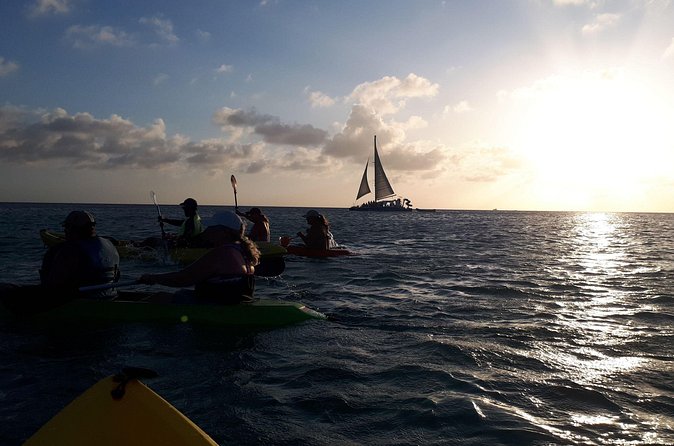 Aruba Night Glass Kayak Tour - Who will enjoy this most