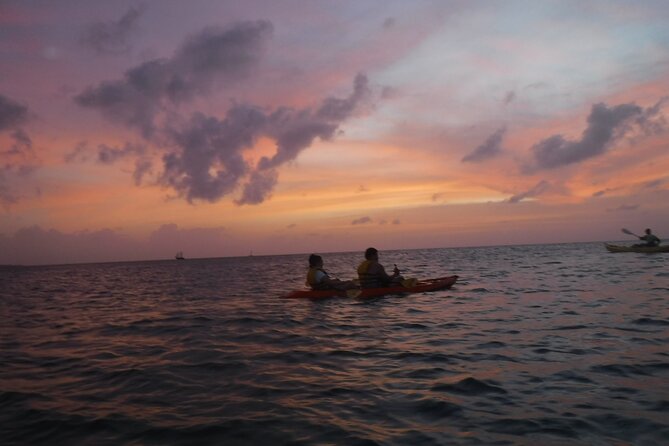 Aruba Night Glass Kayak Tour - What the glass-bottom kayak is really like
