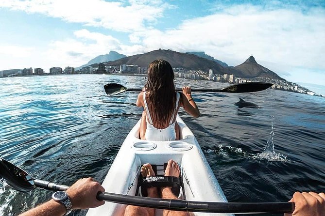 Atlantic Outlook Kayak Tour Cape Town - Table Mountain and the marine reserve