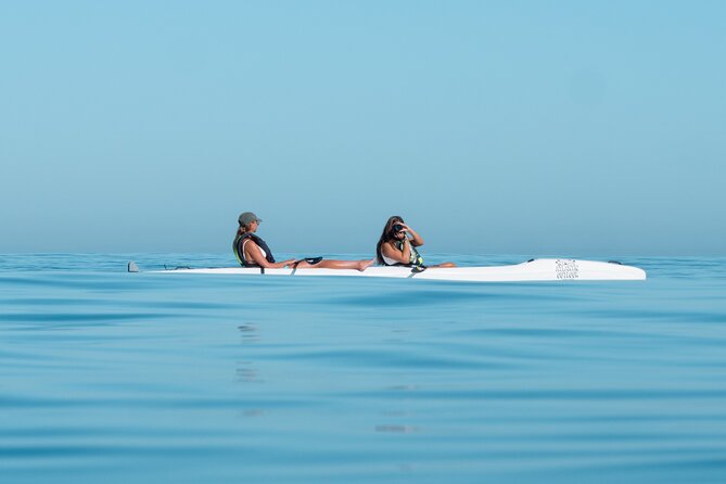 Atlantic Outlook Kayak Tour Cape Town - How beginner-friendly is the paddle?
