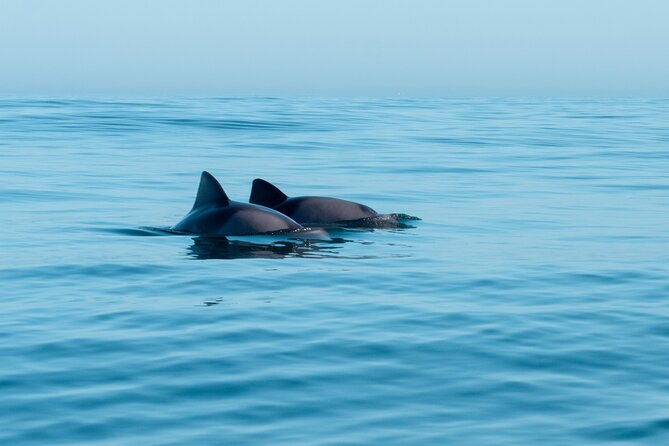 Atlantic Outlook Kayak Tour Cape Town - What happens at the V&A Waterfront meeting point