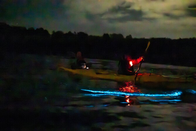 Auckland Bioluminescence Kayak Tour - Kayaking for beginners and families
