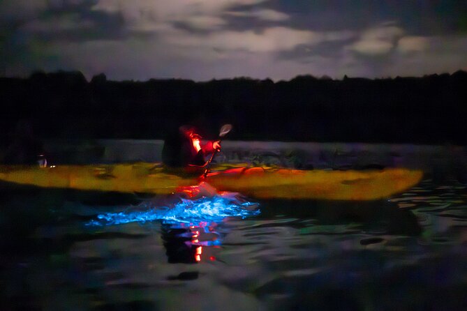Auckland Bioluminescence Kayak Tour - What the $68.26 price includes