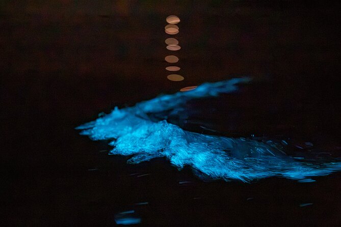 Auckland Bioluminescence Kayak Tour - Transport, facilities, and small practical details