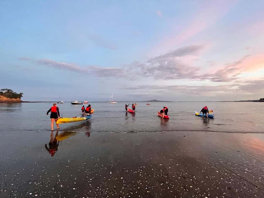 Auckland: Bioluminescence Kayak Tour with Guide - Why bioluminescence can be hit or miss