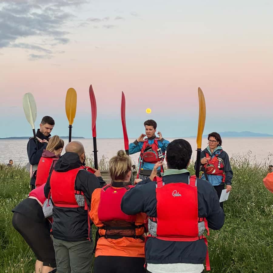 Auckland: Bioluminescence Kayak Tour with Guide - The value of a $71 two-hour experience