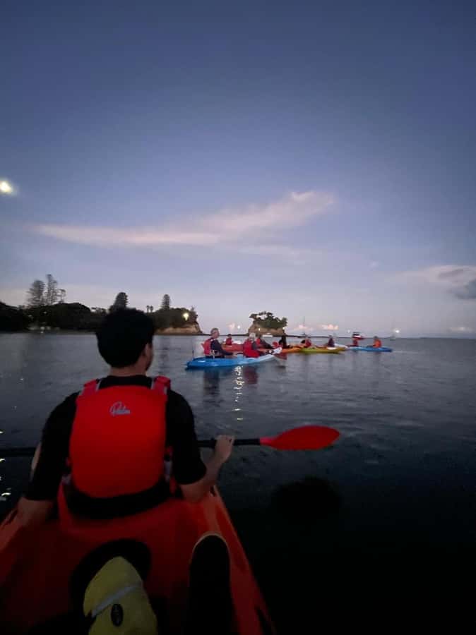 Auckland: Bioluminescence Kayak Tour with Guide - Who will enjoy this most