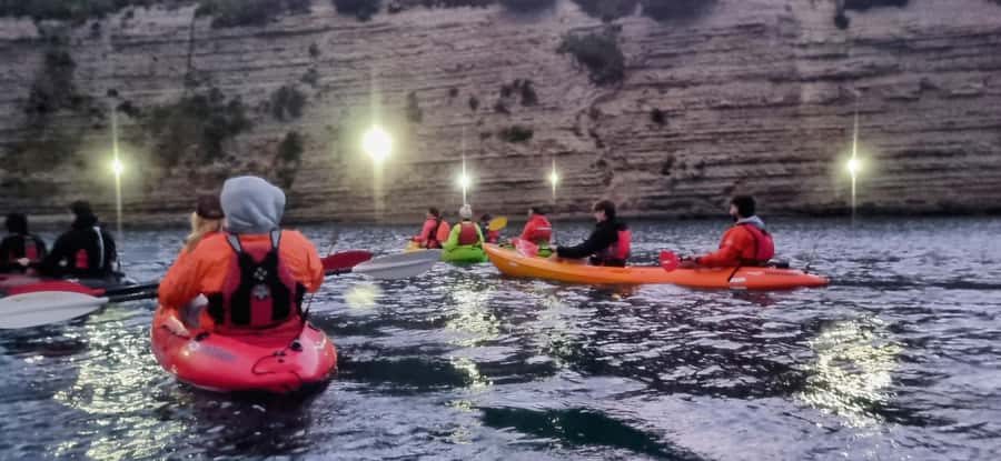 Auckland: Bioluminescence Kayak Tour with Guide - Should you book the bioluminescence kayak tour?