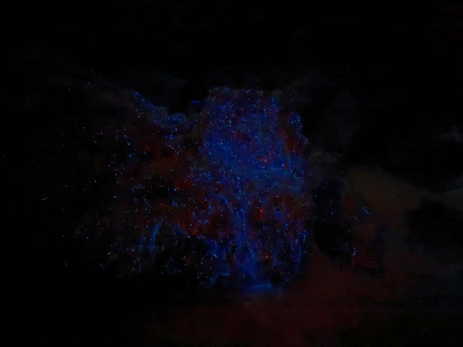 Auckland: Bioluminescence Kayak Tour with Guide - Getting the location right on tour day