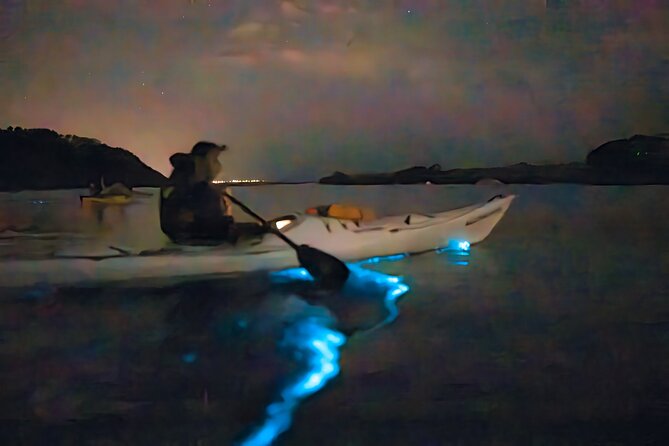 Auckland Bioluminescence Kayak Tour - What happens during the two-hour paddle