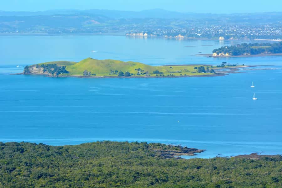Auckland: Browns Island (Motukorea) Sea Kayak Tour - Booking advice and final verdict