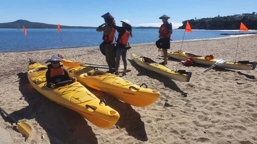 Auckland: Browns Island (Motukorea) Sea Kayak Tour - The return paddle and the value of the four-hour format