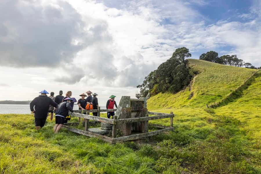 Auckland: Browns Island (Motukorea) Sea Kayak Tour - Guides, instruction, and the feel of the outing